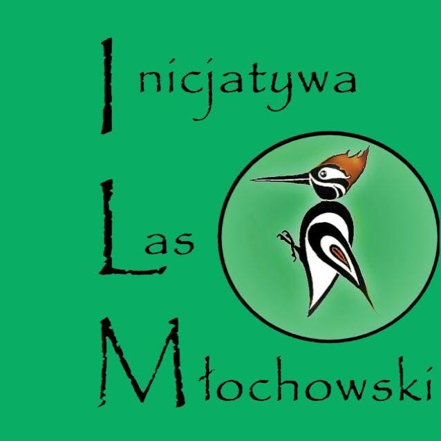 Inicjatywa Las Młochowski